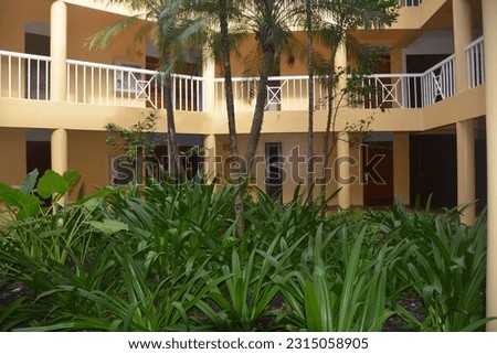 A picture of a resort interior garden with trees - republic dominican