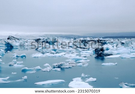 Serene and majestic water in the form of large icebergs floating away from the calving face of the glacier