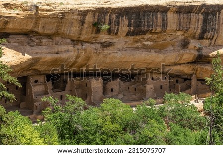 Spruce Tree House cliff dwelling of the Pueblo Anasazi indigenous people, Mesa Verde national park, Colorado, USA. Royalty-Free Stock Photo #2315075707