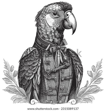 Hand Drawn Engraving Pen and Ink Parrot Portrait Dressed in Victorian Era Vintage Vintage Vector Illustration Royalty-Free Stock Photo #2315089137