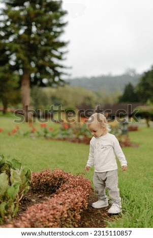 Adorable toddler girl, dressed comfortably for a day outdoors, joyfully exploring a park and discovering the beauty of the natural surroundings. Child walking in the park outdoor recreation