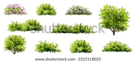 Vector watercolor blooming flower tree side view isolated for landscape and architecture drawing, elements for environment and garden,botanical elements for section in spring  Royalty-Free Stock Photo #2315118025