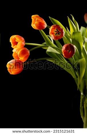 ornament of different colored flowers in vase and closeup
