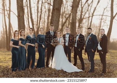 Brides and friends in the nature. Friends at the wedding. Newlywed couple, bridesmaids and groomsmen having fun outdoors Royalty-Free Stock Photo #2315125897