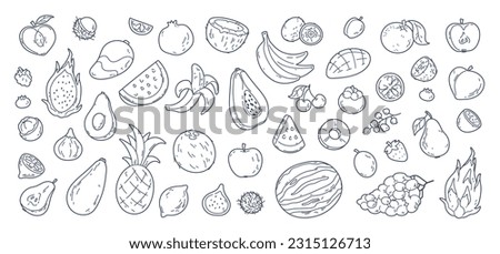 Hand drawn exotic fruit doodles, coconut and lemon slices. Cute tropical fruits, dragon fruit, melon slice and berries, vitamin rich food sketch  stickers, summer fresh organic ingredients vector set Royalty-Free Stock Photo #2315126713