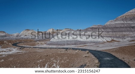 Petrified Forest, Painted Desert National park, Blue Mesa area Royalty-Free Stock Photo #2315156247