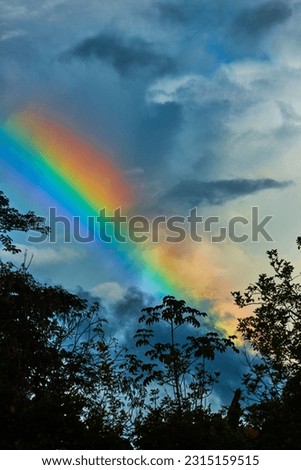 very bright saturated natural rainbow in the clouds silhouettes of tropical trees incredible beauty of nature