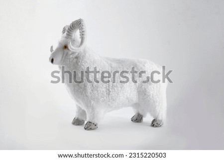 Sheep with thick wool isolated on white background - Eid Adha