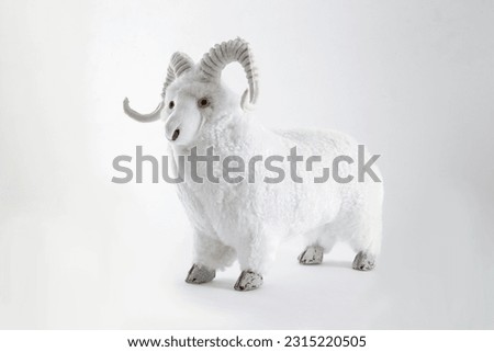 Sheep with thick wool isolated on white background - Eid Adha
