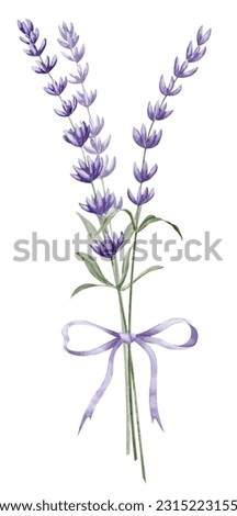 Bouquet of Lavender Flowers with purple ribbon. Hand drawn watercolor illustration on white isolated background for greeting cards or wedding invitations. Floral Province drawing for icon or logo.