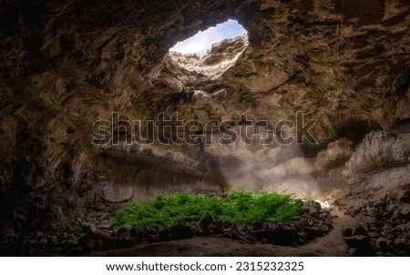 Cave, sunlight, sunbeams, grass, nature
