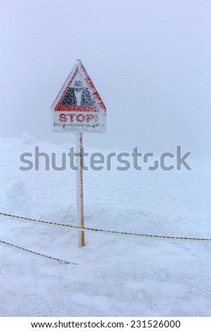 Frozen Stop Sign at Jungfrau