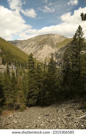 Custer Gallatin National Forest and Beartooth Mountains, Montana Royalty-Free Stock Photo #2315306585