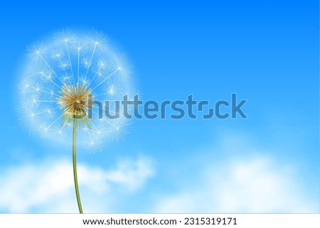 realistic dandelion flower seeds in blue background with clouds