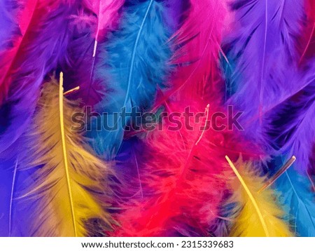  a close up of a multicolored feather background with yellow tips.  Royalty-Free Stock Photo #2315339683