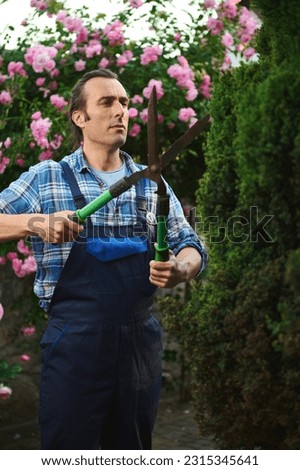 Portrait of professional male gardener floriculturist, horticulturist in blue uniform, holding pruners, cutting a hedge in the courtyard of a mansion. Home and garden decoration concept. Landscaping Royalty-Free Stock Photo #2315345641