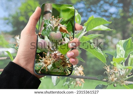 Girls hand holding smart phone identifying plants and copy space