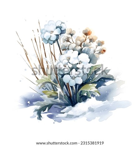 Watercolor Snow Beautiful Flowers Clip Art, Floral Illustration, Digital Artwork