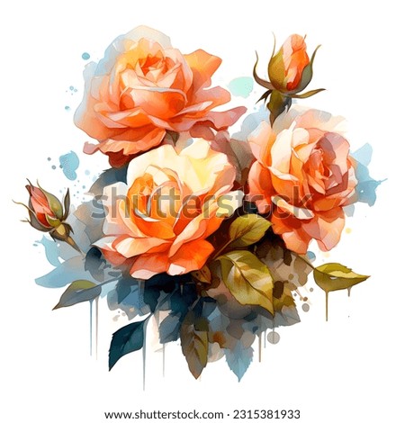 Watercolor Beautiful Roses Clip Art, Floral Illustration, Digital Artwork