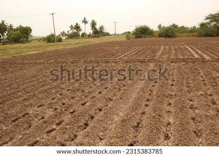 Agriculture developed to dry land 