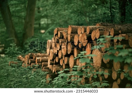 A pile of wooden logs, big trunks of tall trees cut and stacked. Stack of cut pine tree logs in a forest. Ecological Damage. Deforestation's Impact on European Evergreen Forests. Royalty-Free Stock Photo #2315446033