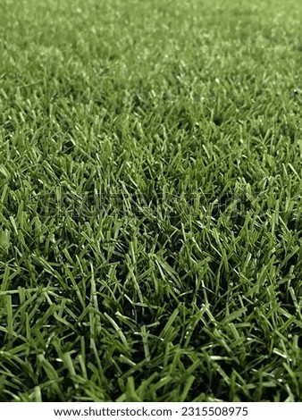 Artificial grass is material that is made of synthetic, man-made fibers that look like real grass.