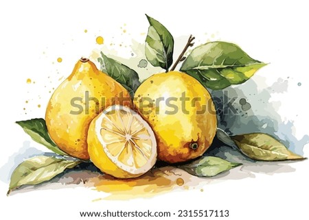 Lemon watercolor painting white background.