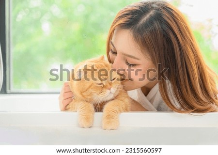 A orange cat, a cute and adorable pet, cat is pictured indoors. 