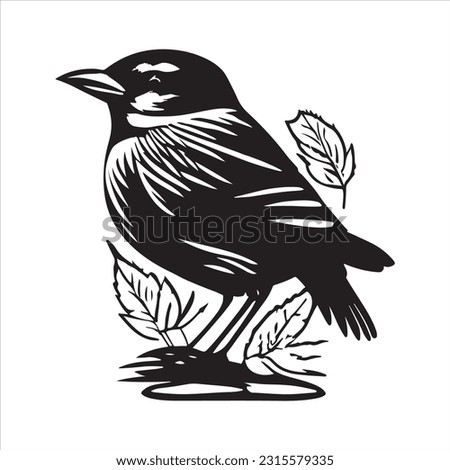 Bird Vector Art, Icons, and silhouette