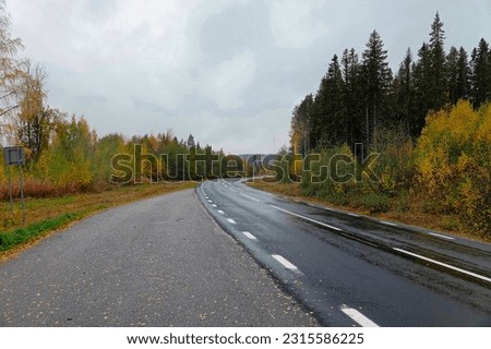 A picture taken on the roads of northern Sweden during fall, showing clouds and various colors of trees