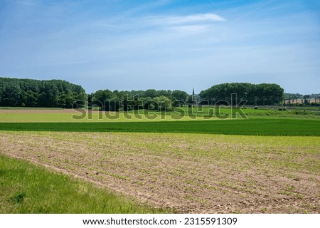 Green agriculture fields with fresh plantation at the Flemish countryside aroud Zaventem, Flemish Brabant, Belgium Royalty-Free Stock Photo #2315591309