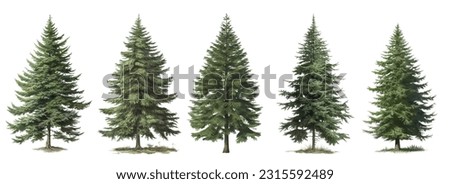Set of green trees isolated on the white background, christmas trees vector Royalty-Free Stock Photo #2315592489