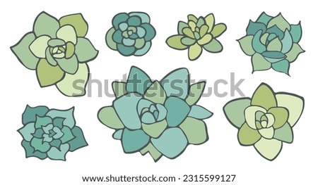 Vector doodle Succulent set, hand-drawn Desert Herb, Isolated on white floral stickers