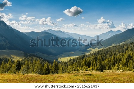 Lovely Sunny Valley with hills