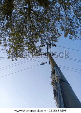 electric pole next to a tree