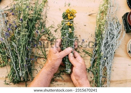 Women's hands tie bundle of medicinal herbs. Woman herbalist doctor prepares herbal collection, incense. Royalty-Free Stock Photo #2315670241