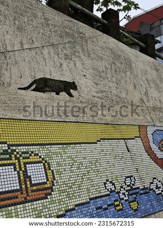 Black cat loitering in urban area