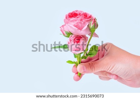 Small bouquet of vibrant roses in hand against a neutral background with copy space for personalized messages or captions.