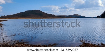 selective focus picture of a lake landscape