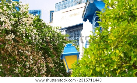Sidi Bou Saïd is a picturesque village set on a promontory overlooking the Mediterranean Sea. Open-air cafés, Tunisian restaurants and small art galleries are also dotted around the heights.