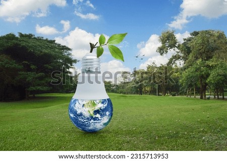 Earth globe inside led light bulb with fresh green tree leaves on green grass field in park, Green ecology and saving energy concept, Elements of this image furnished by NASA Royalty-Free Stock Photo #2315713953