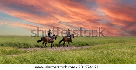 Horseback riding in the salt marshes North Sea Royalty-Free Stock Photo #2315741211