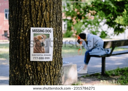 There is a missing dog notice on a tree. in the background, a heartbroken dog owner mourns while sitting on a bench. Royalty-Free Stock Photo #2315786271