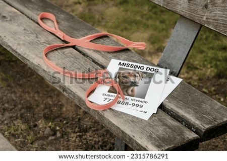 An orange collar with a leash and a flyer about a lost dog lie on a park bench. Lost dog. the concept of love for pets.
