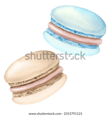 watercolor set of sweety cakes macaroons, hand darwn illustration of round almond meringue isolated on white background