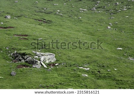 Stones on mountain hill with green vegetation, nature landscape background