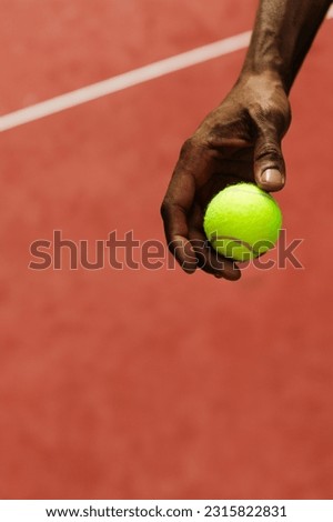 A tennis player holding a tennis ball on the tennis court
