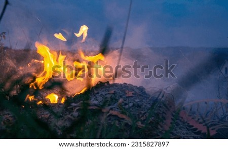 Smoke and flames from a fire in the blue sky. Natural disaster. Wildfire in Serbia.