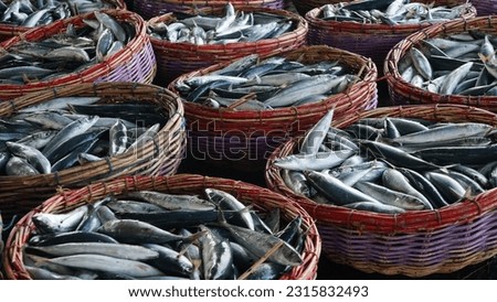 Fresh fish in baskets in the market