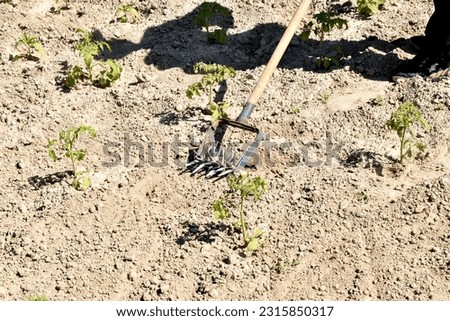 The picture shows an agricultural tool with which farmers remove weeds from the garden.